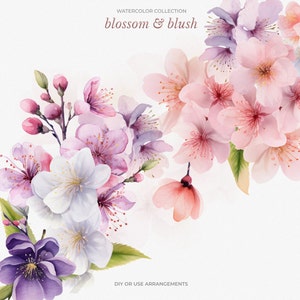 Kersenbloesem aquarel clipart, aquarel bloemen PNG, roze blozen bloem clipart, Sakura PNG, scrapbooking en uitnodigingen, bruiloft