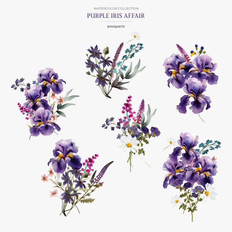 Wild Iris Watercolor Clipart Wild Iris Flowers Watercolor Floral ...
