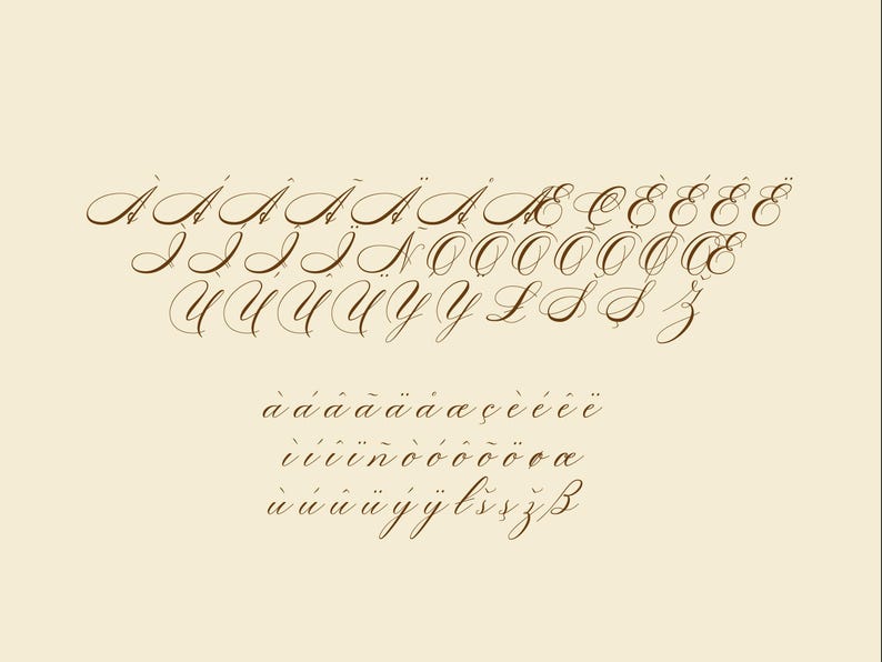 Sofia Script Font – Elegant Wedding Calligraphy With Alternates (OTF ...