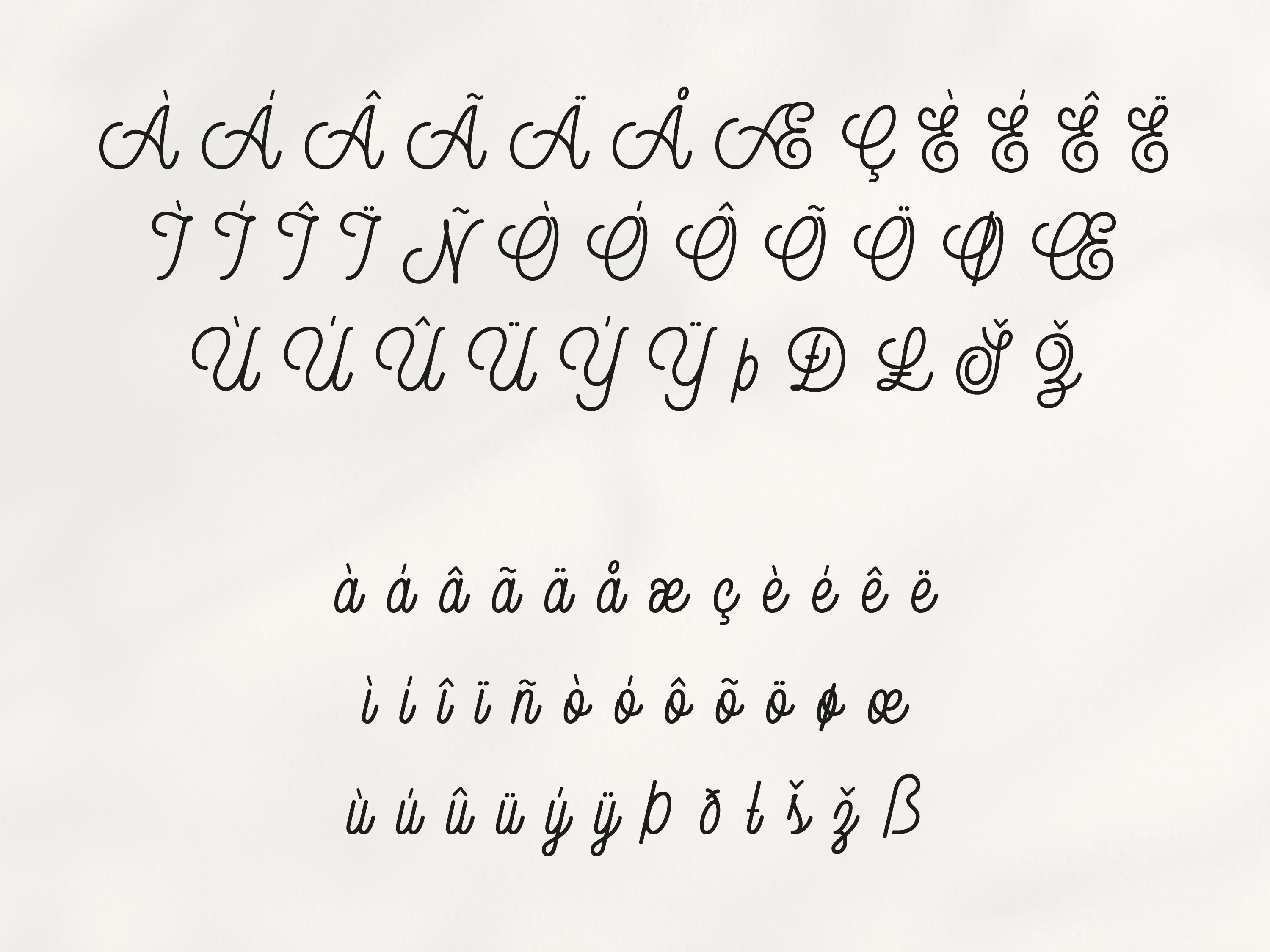 Nancy Monoline Script Font With Alternates – Handwriting Cursive ...