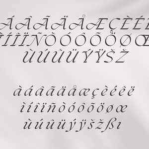 K&ouml;nnte beinhalten: Eine schwarze, elegante Schriftprobe mit Gro&szlig;- und Kleinbuchstaben und diakritischen Zeichen. Der Text wird in zwei Zeilen angezeigt und zeigt das gesamte Alphabet in einem stilvollen, kalligraphischen Design. Der Hintergrund ist in einem weichen Off-White-Ton gehalten.