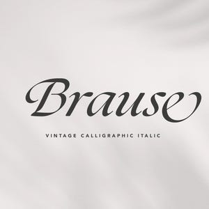 May include: The word "Braise" in a vintage calligraphic italic font is displayed against a soft, off-white background. Below the word, the text "VINTAGE CALLIGRAPHIC ITALIC" is written in a smaller font.