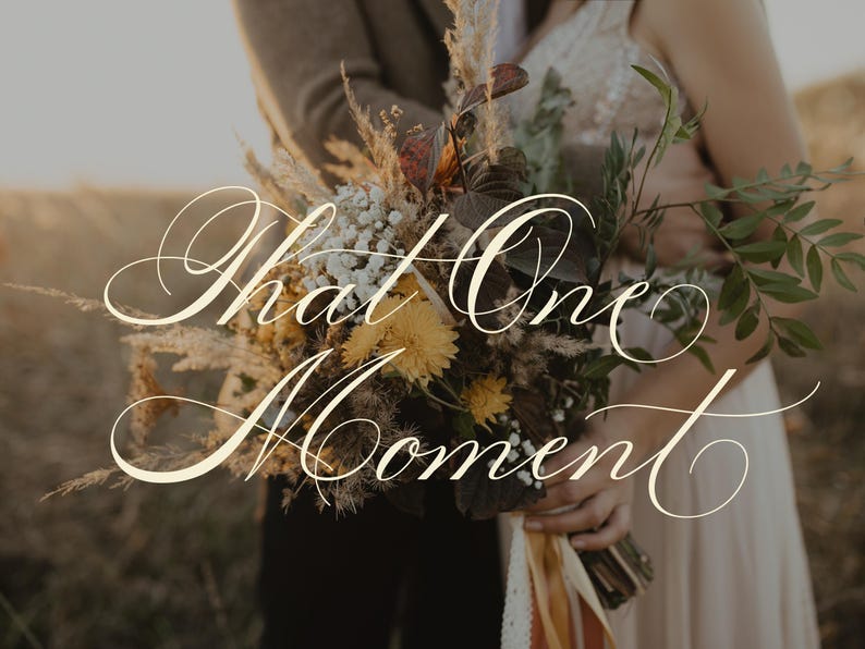 Sofia Script Font – Elegant Wedding Calligraphy With Alternates (OTF ...