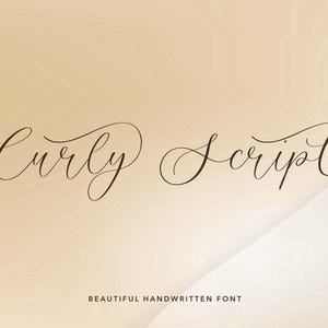 May include: The text Curly Script is displayed in a dark brown, elegant, handwritten cursive font with decorative flourishes. Below this, the text BEAUTIFUL HANDWRITTEN FONT appears in a smaller, simple, uppercase sans-serif typeface.