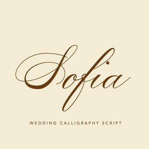 May include: The name Sofia written in a dark brown cursive calligraphy script font centred on a light cream background. Below the name, the text WEDDING CALLIGRAPHY SCRIPT is printed in a smaller, simple, dark brown sans-serif capital letter font.