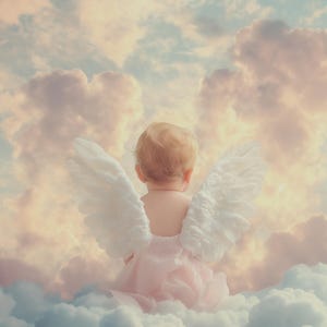 In memory my sweet little baby angel, forever love. Heaven - sky - grief - goodbye