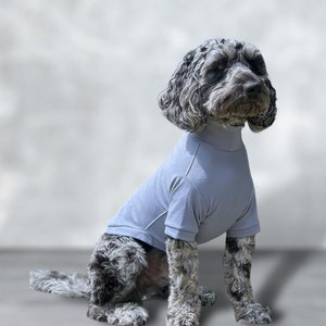 Dog jumper, short sleeve