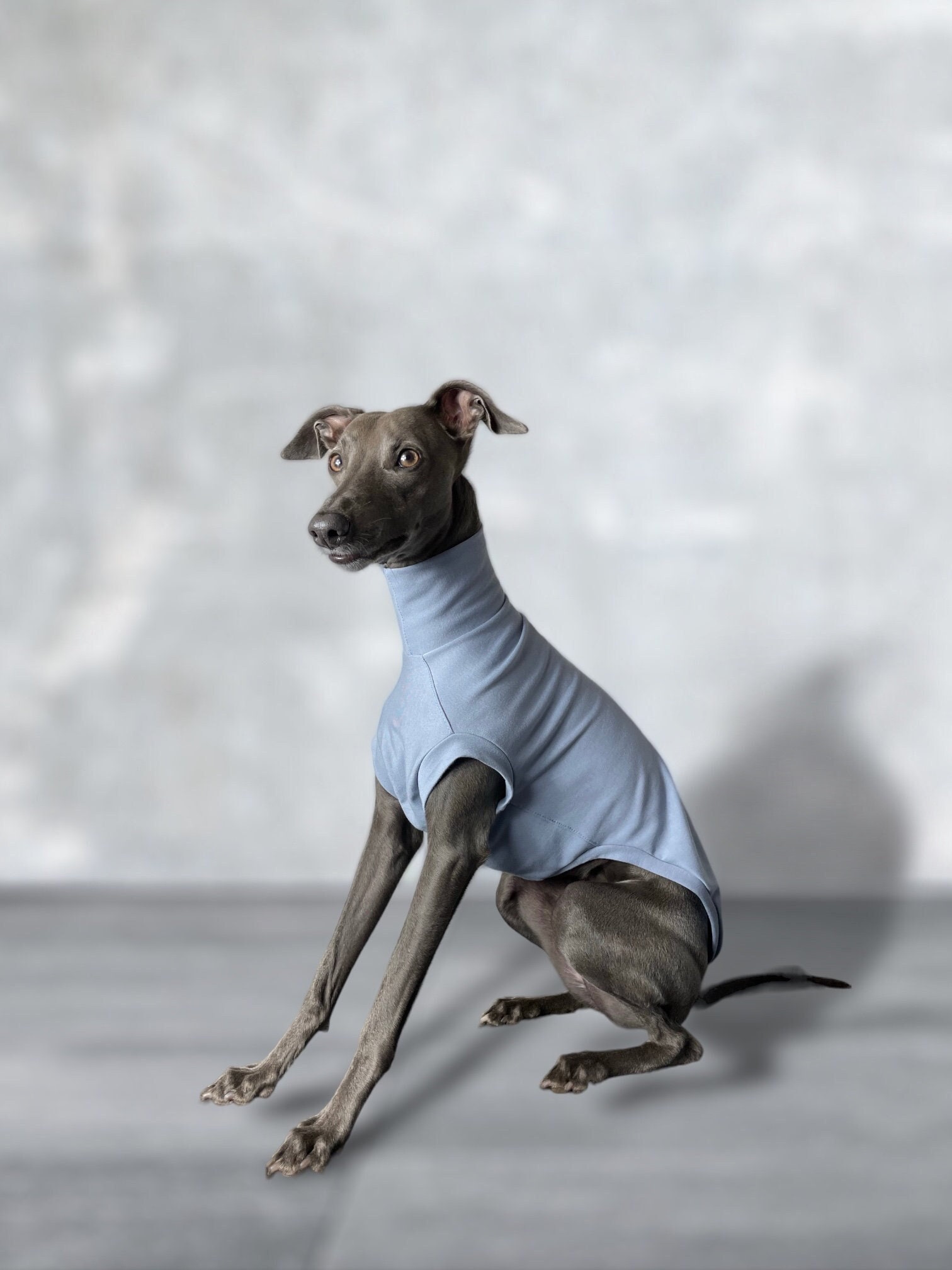 Whippet cotton shirt - Etsy 日本