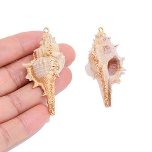 May include: Two natural seashell pendants featuring gold-toned metallic plating along the edges and a small circular loop at the top for hanging. The shells exhibit a textured, spiraled surface with beige and brown tones and a smooth interior.