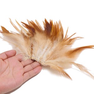 Puede incluir: Un arreglo en forma de abanico de plumas naturales en tonos bronceado claro, beige y marrón medio. Las plumas están unidas a una base de alambre fino y flexible que las mantiene en una formación extendida y en capas con puntas afiladas.
