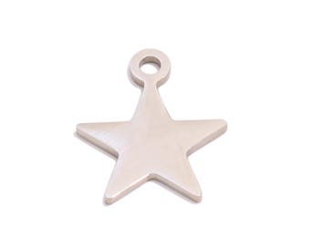 Puede incluir: Un charm de estrella de metal plateado con un bucle en la parte superior para sujetarlo a joyas u otras manualidades.
