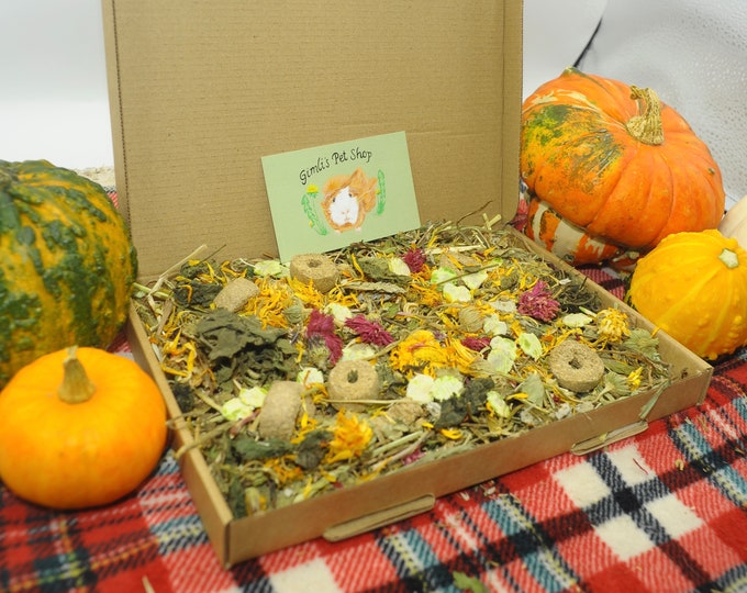 View of Guinea Pig Treat Box - Etsy UK