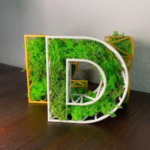 Letras de musgo | Alfabeto con musgo | Decoración para estanterías con musgo natural de Islandia | Decoración con letras