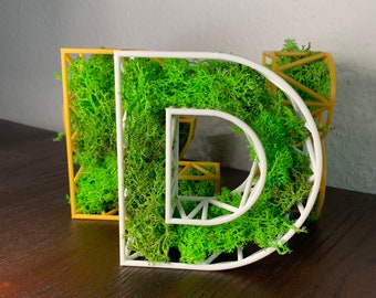 Lettere di muschio | Alfabeto con muschio | Decorazione per librerie con muschio islandese naturale | Decorazione con lettere