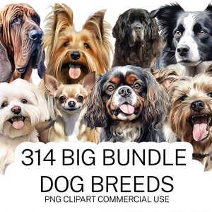 314 Imágenes prediseñadas de razas de perros de acuarela, paquete PNG de perros, imágenes de perros PNG transparentes de alta calidad instantáneas, descarga y uso comercial