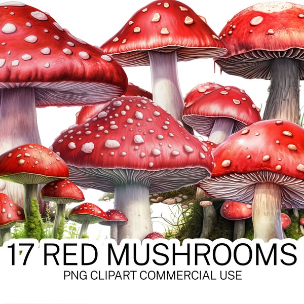 17 Mushrooms Clipart, Mushroom PNG Bundle, High-Quality Transparent PNG Mushroom Images Instant Download and Commercial Use