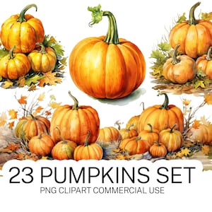 23 Pumpkins Set Clipart, PNG Bundle, High-Quality Transparent PNG Pumpkin Images Instant, Download and Commercial Use
