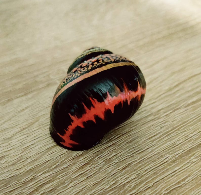 Red Snail Shell Drawing Snail Shell in Red, Hand-painted Terrestrial Snail Shell (roman Snail ...