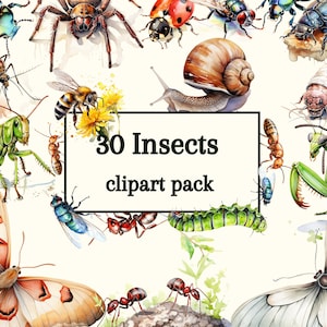 Clipart di insetti e insetti acquerellati per libri, adesivi, illustrazioni e web design: ragno, mantide, formiche, mosche, bruco, coccinella