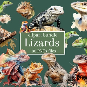 Watercolor Lizards Clipart Bundle: 30 Reptile PNGs (Commercial Use)