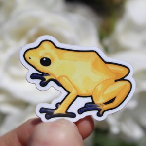 Gele kikker sticker-gele pijlgifkikker vinyl sticker