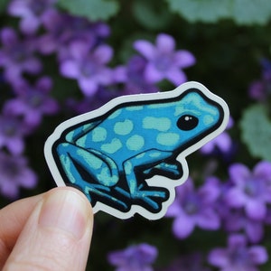 Sticker grenouille - Sticker grenouille bleue