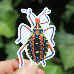 Escarabajo jazzy Pegatina