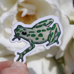 Green Frog Sticker - Autocollant en vinyle vert poison dart frog