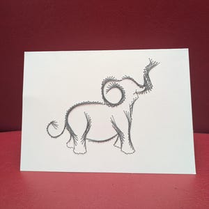 Animal Cards