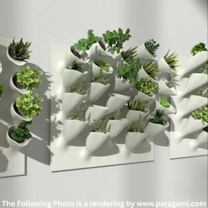 Puede incluir: Jardineras blancas montadas en la pared con varias plantas verdes. Las jardineras tienen forma de cono y están dispuestas en un patrón de cuadrícula. Las plantas incluyen hierbas y suculentas, creando una exhibición de jardín vertical.