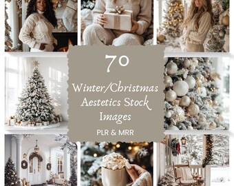 Christmas Stock Images, Winter Aesthetics Digital Marketing Images, Faceless Marketing Photos, Done For You Christmas Aesthetic Stock Images