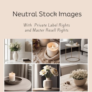 Neutral Stock Photos, Master Resell Rights, Neutral Aesthetic Images, Stock Photography Bundle. PLR and MRR Photos, Lifestyle Stock Images