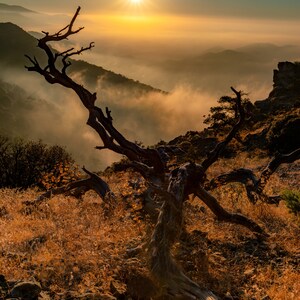 Mother earth, digital print, nature, landscape photography