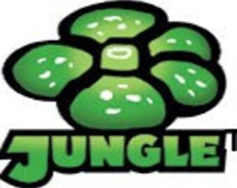 Official Jungle Set Pokemon Cards!