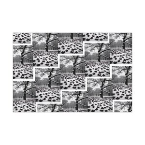 Gift Wrap Papers