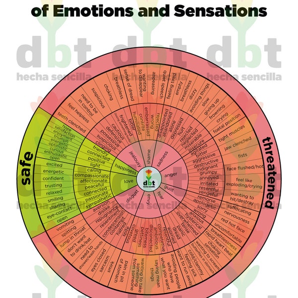 The DBT Wheel of Emotions and Sensations