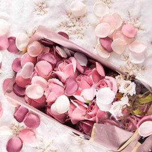 Petali di decorazioni per matrimoni, decorazioni per addio al nubilato, decorazioni per corridoio, coriandoli, rosa, Borgogna, petali di rosa avorio, ragazza di fiori, paggio
