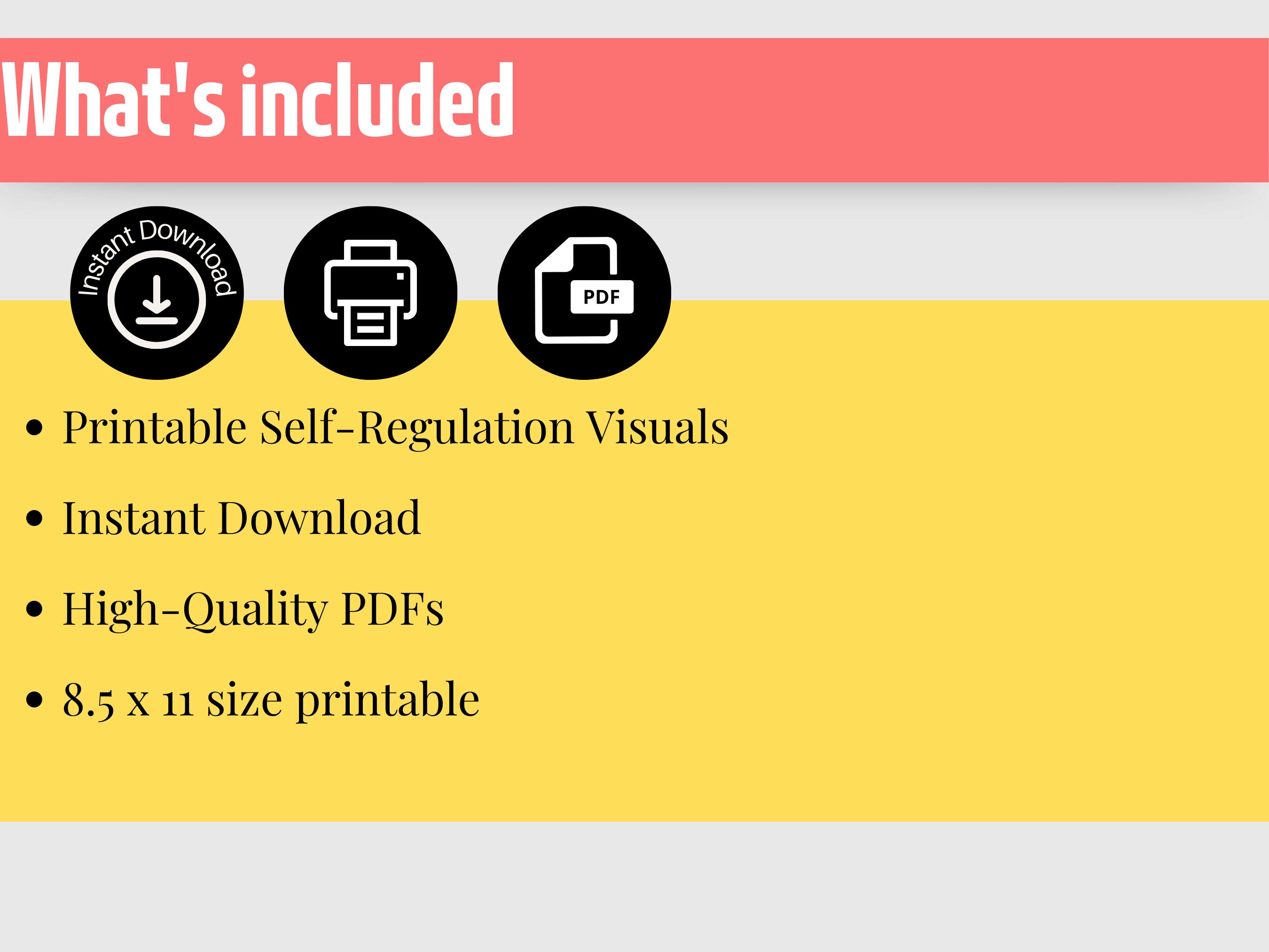 Zones of Regulation Visual Support Bundle – Emotions Chart & Coping ...