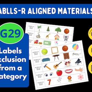 ABLLS-R Aligned B8 Sort Non Identical Items Task (Instant Download) 