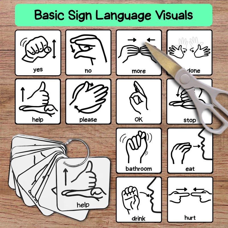 Asl Toddler Signs - Etsy