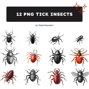 Tick Insect Clipart PNGs with Transparent Background
