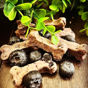 Nutty Blueberry Dog Treats, Crunchy Dog Cookies, Limited Ingredients Treats, Healthy Dog Snacks