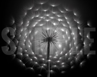 Illuminate, dandelion, nature lover, fathers day, black and white art, black and white wall decor, wall art, dandelion art, fathers day gift
