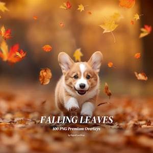100 Falling Autumn Leaves Overlays Blowing Leaves Autumn Digital Backdrops Falling Leaf Overlay Fall Leaves Photoshop Effect Overlays PNG