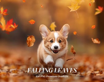 100 Falling Autumn Leaves Overlays Blowing Leaves Autumn Digital Backdrops Falling Leaf Overlay Fall Leaves Photoshop Effect Overlays PNG