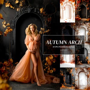 40 Autumn Arch Leaves Maternity Backdrops Fall Leaves Studio Digital Background Autumn Portrait Backdrop Maternity Autumn Overlays JPG