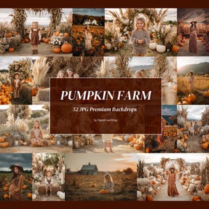52 Pumpkin Farm Digital Backdrops Pumpkin Patch Overlays Maternity Autumn Background Fall Halloween Backdrop Fine Art Textures JPG