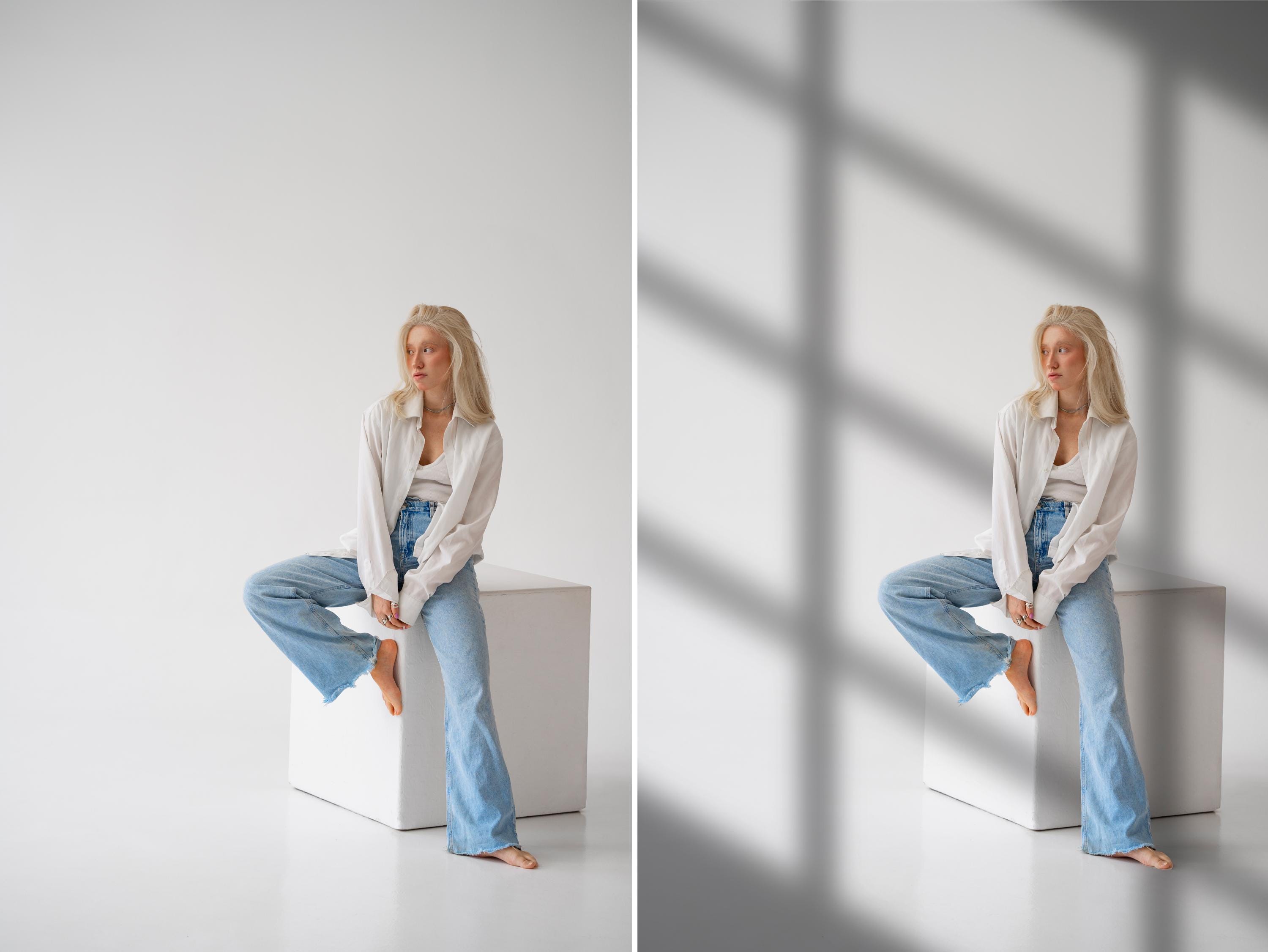 100 Shadow Overlays Window Shadows Overlay Botanic Window Light ...
