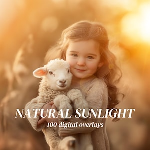 100 Realistic Sunlight Digital Overlays Natural Sun Overlay for Photoshop Rainbow Overlays Summer Overlays  Natural Light Photo Editing JPG