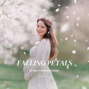 60 superposiciones de pétalos de flores de primavera, efectos florales cayendo, elementos de Photoshop para bodas y maternidad, PNG